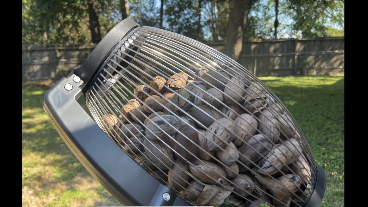 Nut Gatherer rolling picker for pecans, acorns, walnuts ….