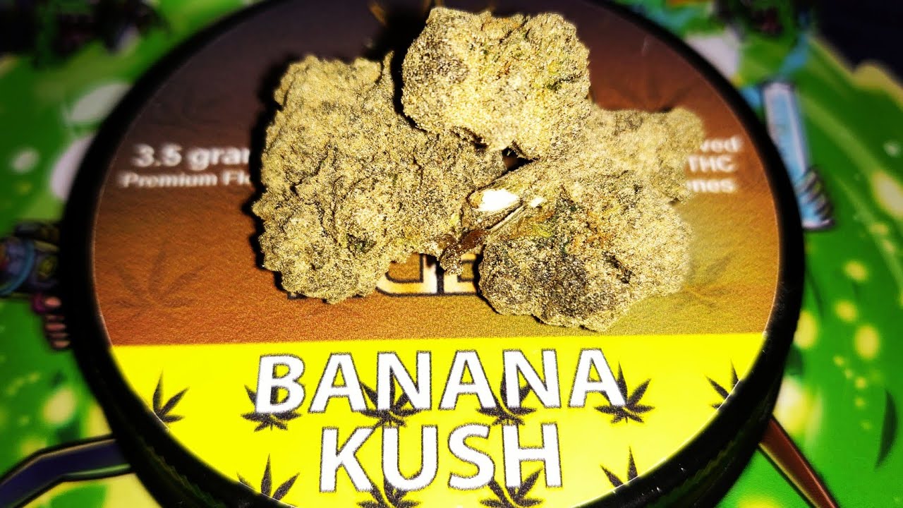 Blanq Delta 8 THC Banana Kush Moon Rocks review! 🍌🔥D8 Moon Nugs Crafty + friendly!