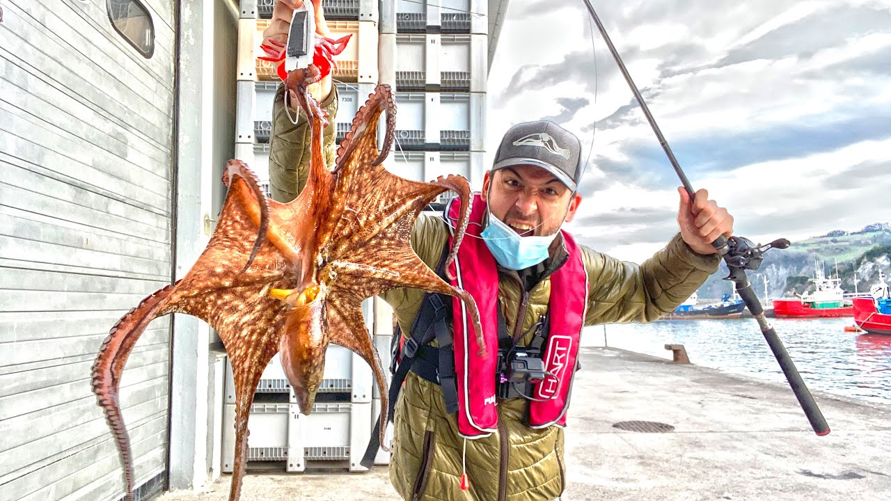 🐙 En BUSCA de un PULPO GIGANTE 🐙 / Pesca de PULPOS XL