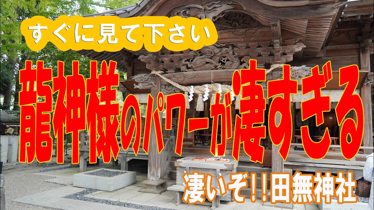 見るだけで人生を好転させる！！田無神社の龍神様