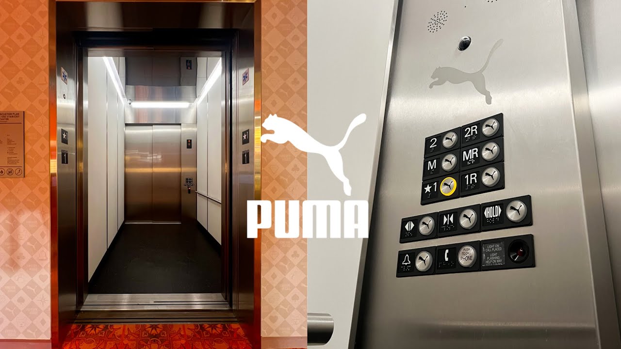 BRAND NEW Fully-Custom Mitsubishi Traction Elevator - Puma, The BLVD - Las Vegas, NV