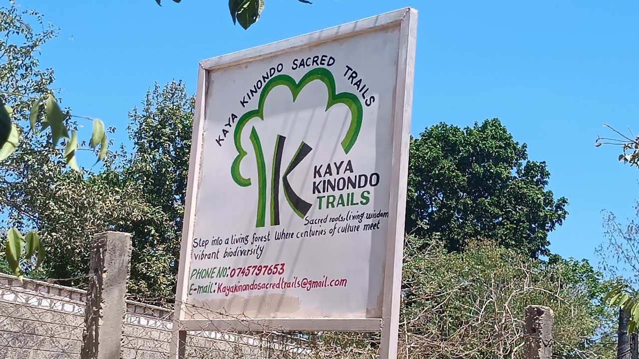 Der Heilige Wald in Kinondo/The Holy Forest in Kinondo