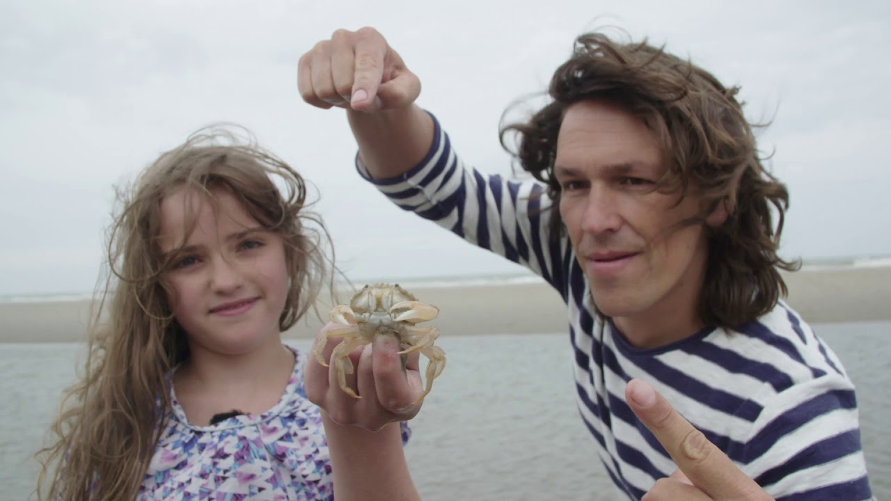 Bruisend Water: wat leeft er in de Noordzee?
