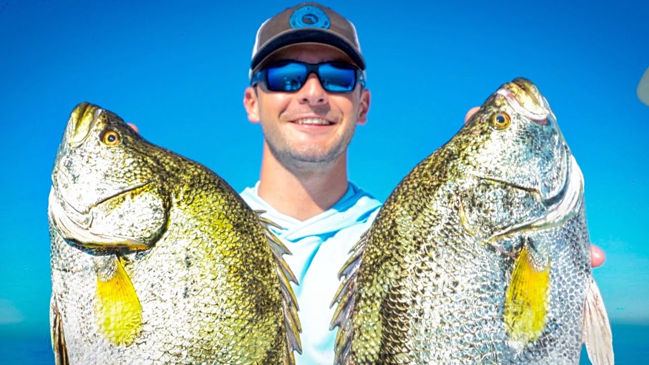 BEST Tasting Fish Catch & Cook Sight Fishing Tripletail Under Crab Traps