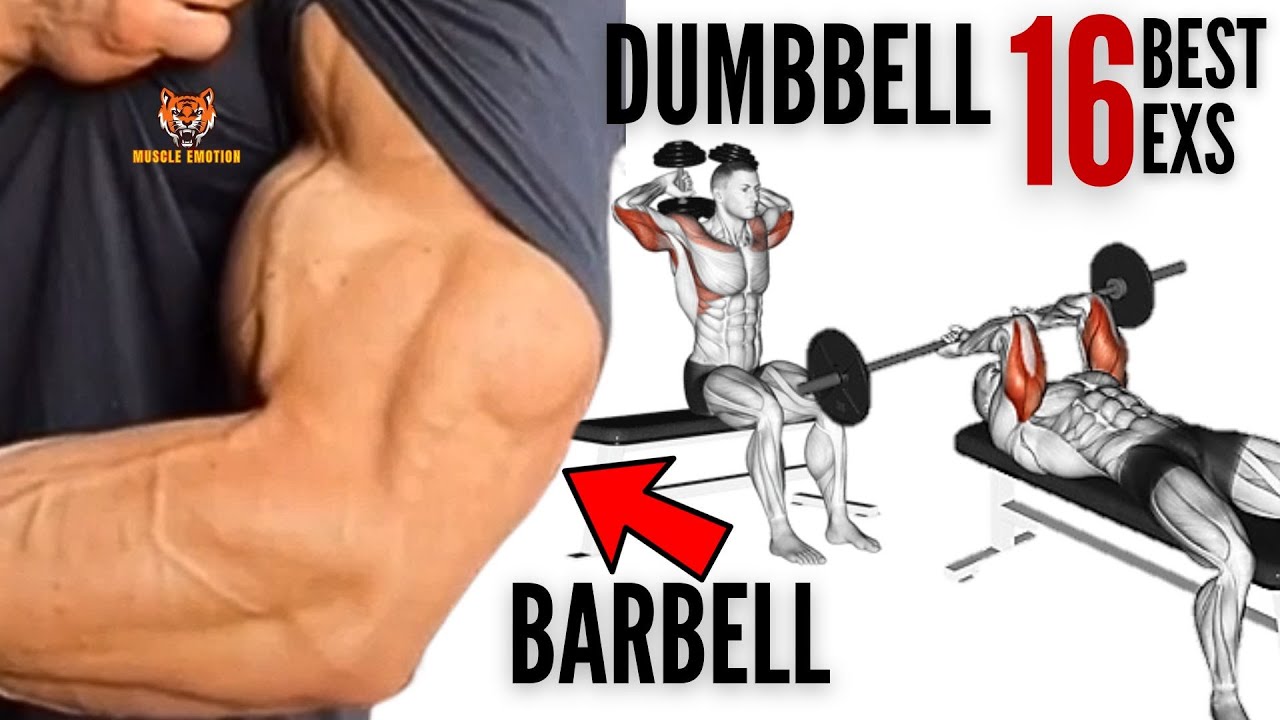 16 BEST TRICEPS WORKOUT WITH DUMBBELLS AND BARBELL AT HOME  OR GYM