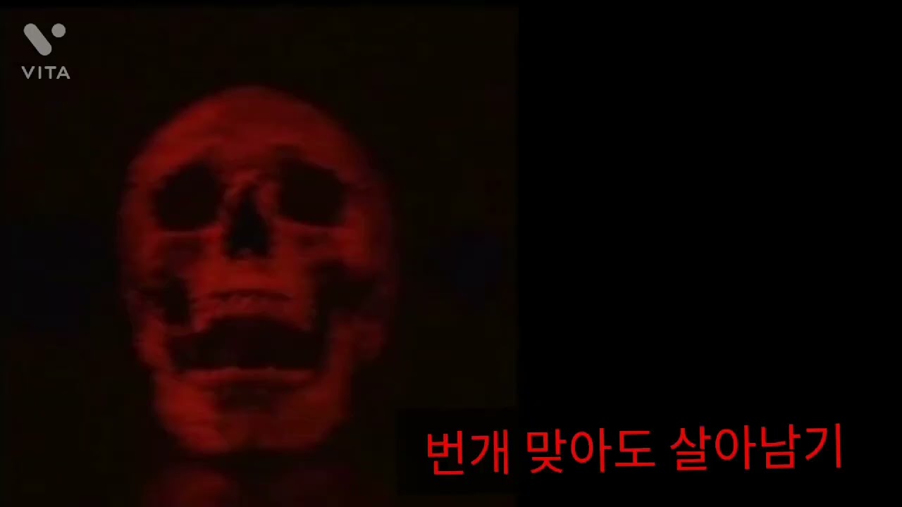 내가 해야할것(인크레더블 밈,절망편,확장편)
