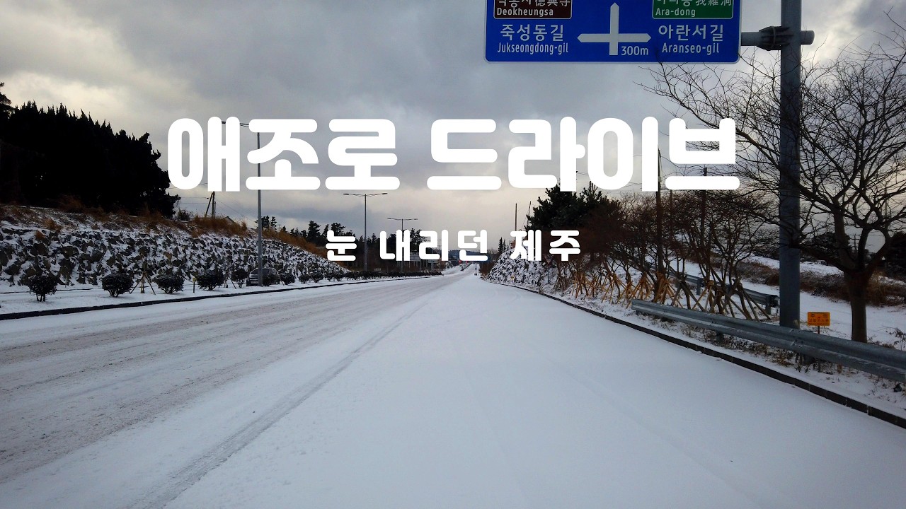 제주도 '애조로' 타고 출근하는길. 눈이 많이 내린 아침7시의 애조로 도로 풍경