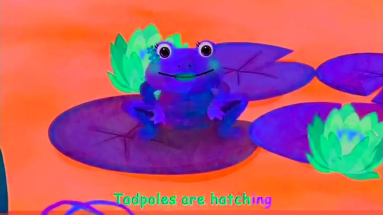 Tadpoles are Hatching W/Effect Sponsored By Gamavision Csupo Effects 