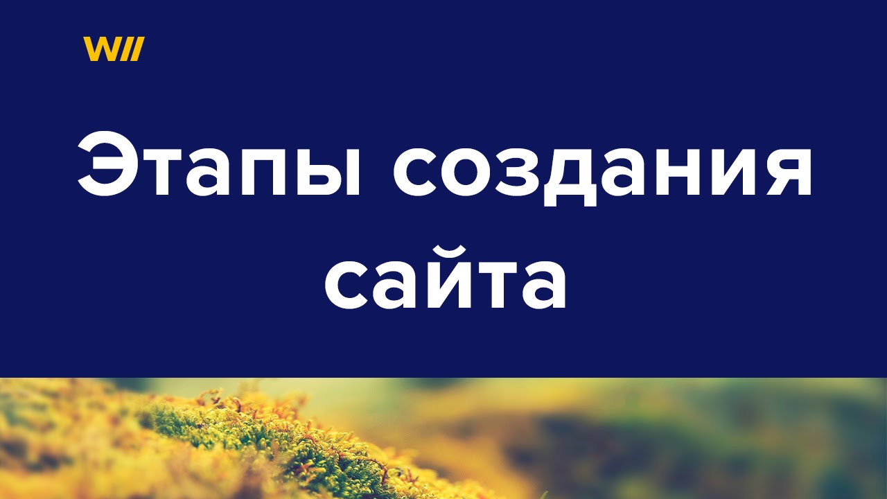 Основные этапы создания сайта