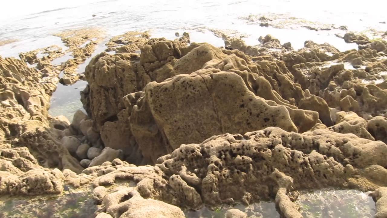The coast next to Goat's Hole Cave (a.k.a Paviland Cave), Gower