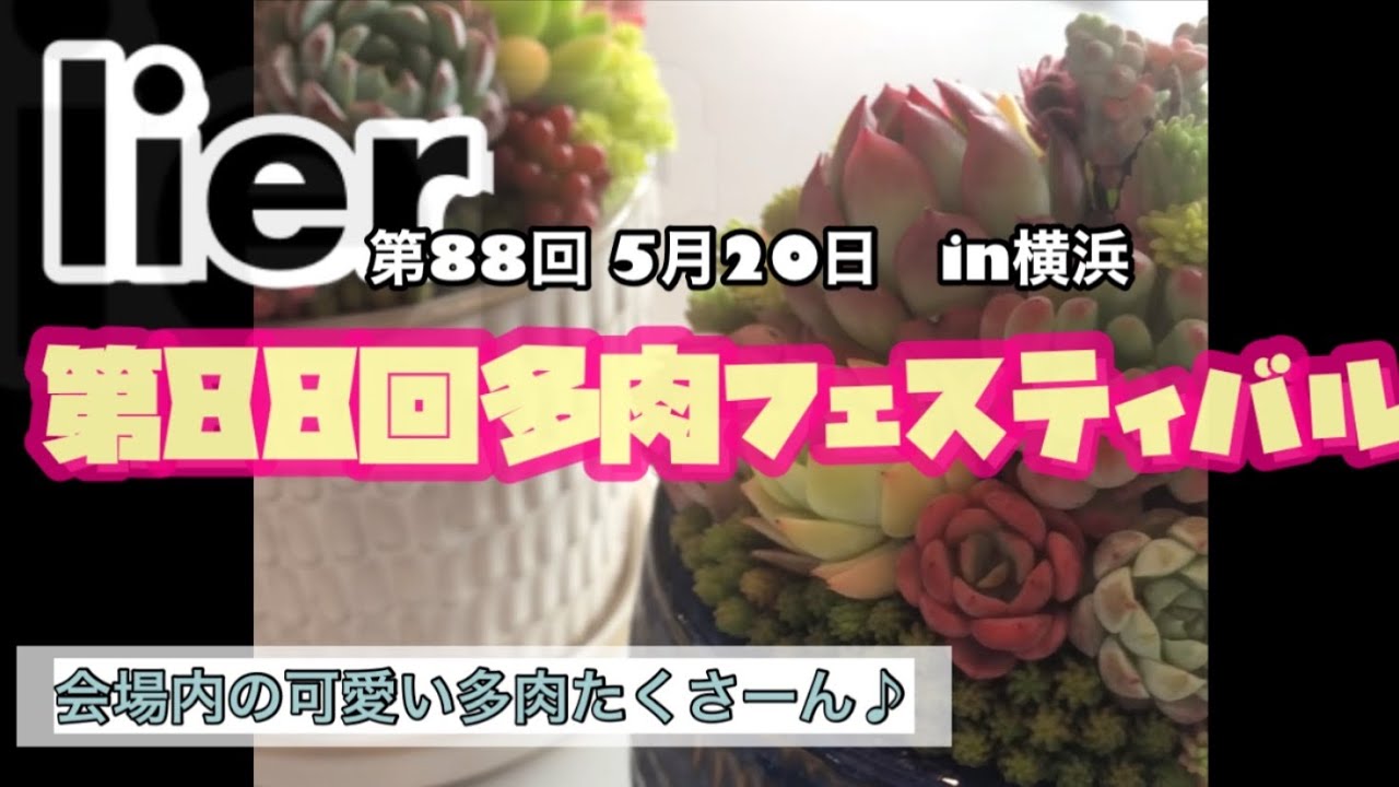 【多肉植物】#1 リエール第88回多肉植物フェスティバル　in神奈川県横浜