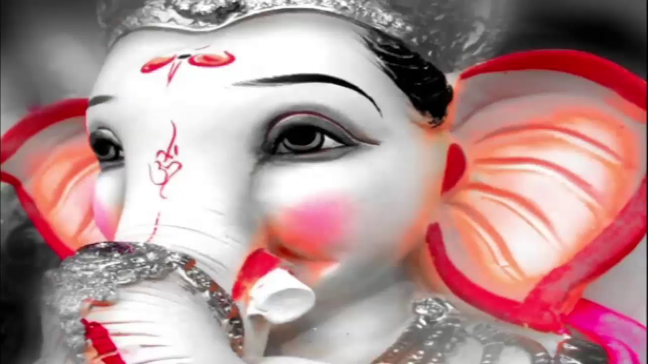 Walia Studio Kala Sanghian Live Stream
