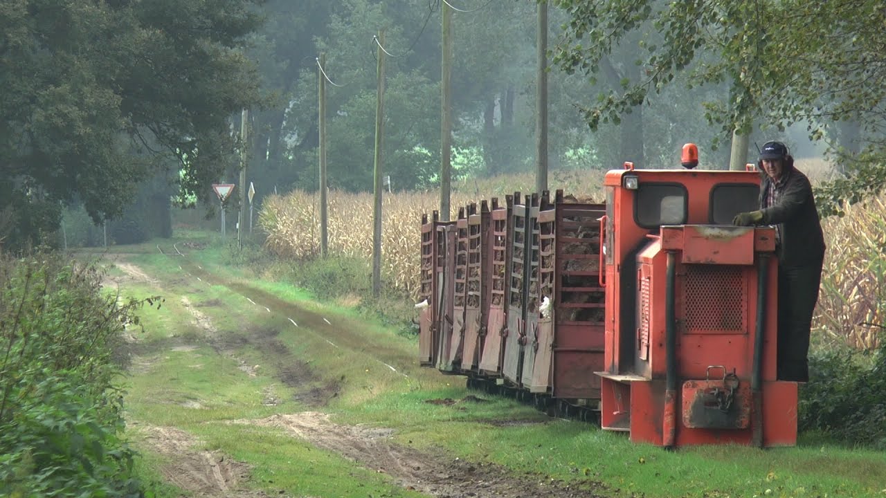 Feldbahnrefugium Lohne