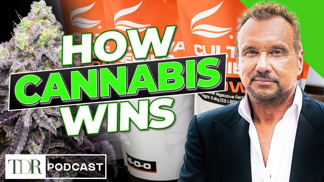 Why Premium Cannabis Is the New Baseline | TDR Cannabis in 5