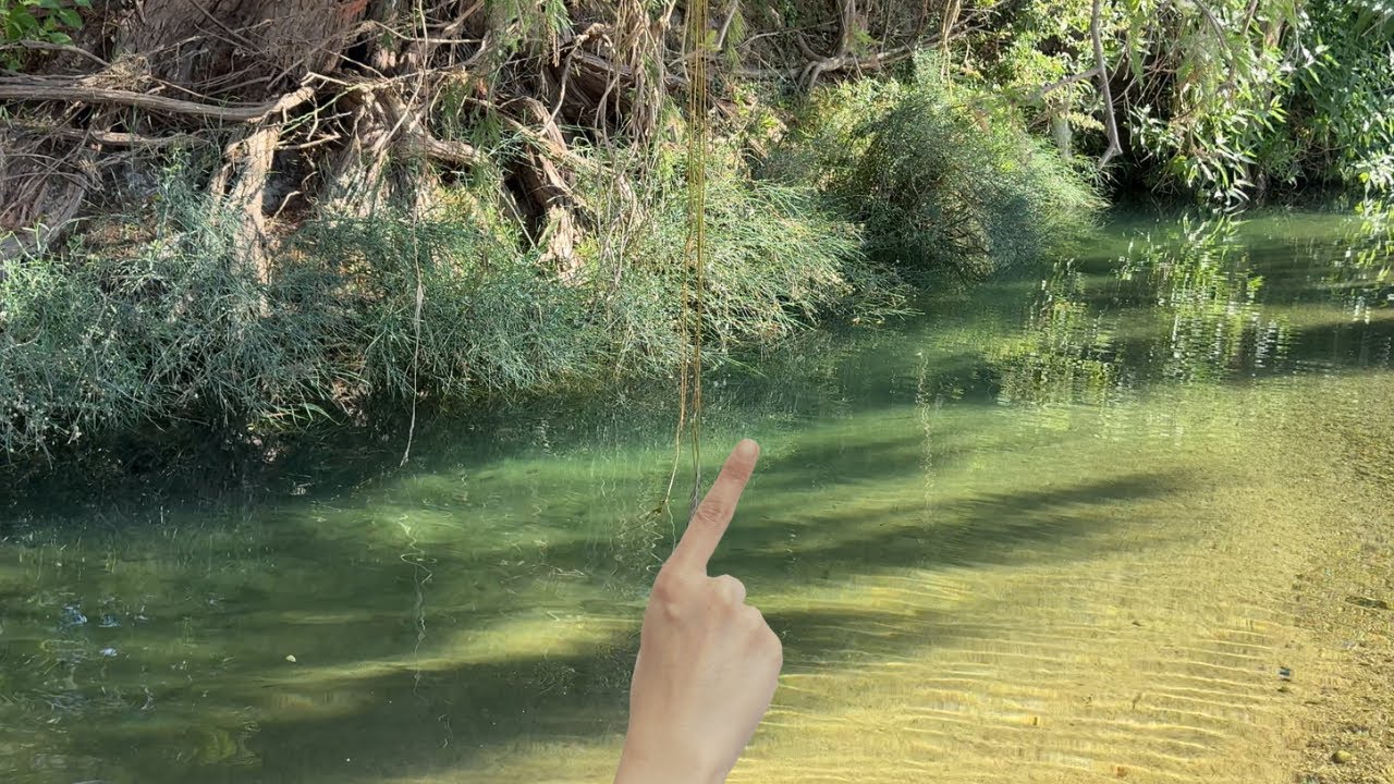 Micro Pesca en Arroyo de Agua Cristalina