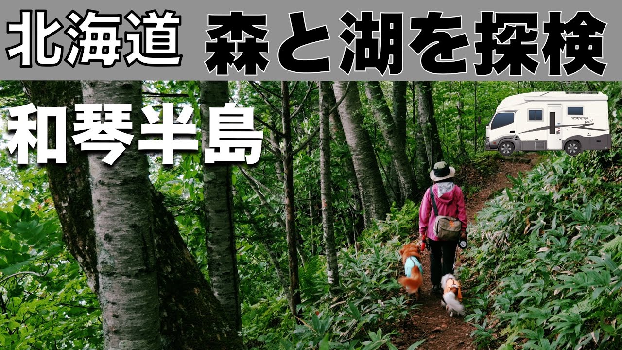 「北海道車中泊旅 和琴半島の森と湖を探検、和琴の自然に触れました」の巻【2024 VLOG #32】愛犬と車中泊｜50代夫婦キャンピングカー旅｜車旅｜レガードネオプラス