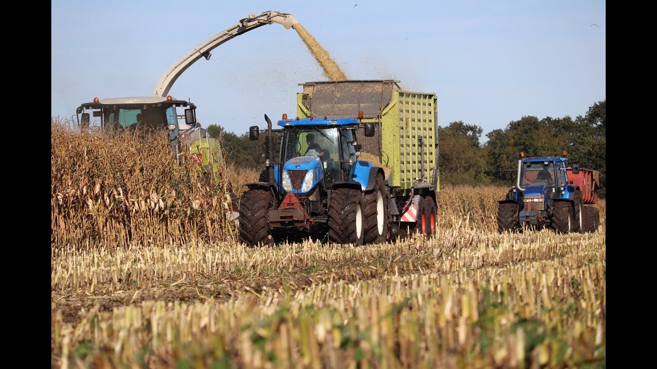 Mais 2020 Claas Jaguar 940 met 8 rijer mais bek New Holland T7040 Ford New Holland 8160 Blue power
