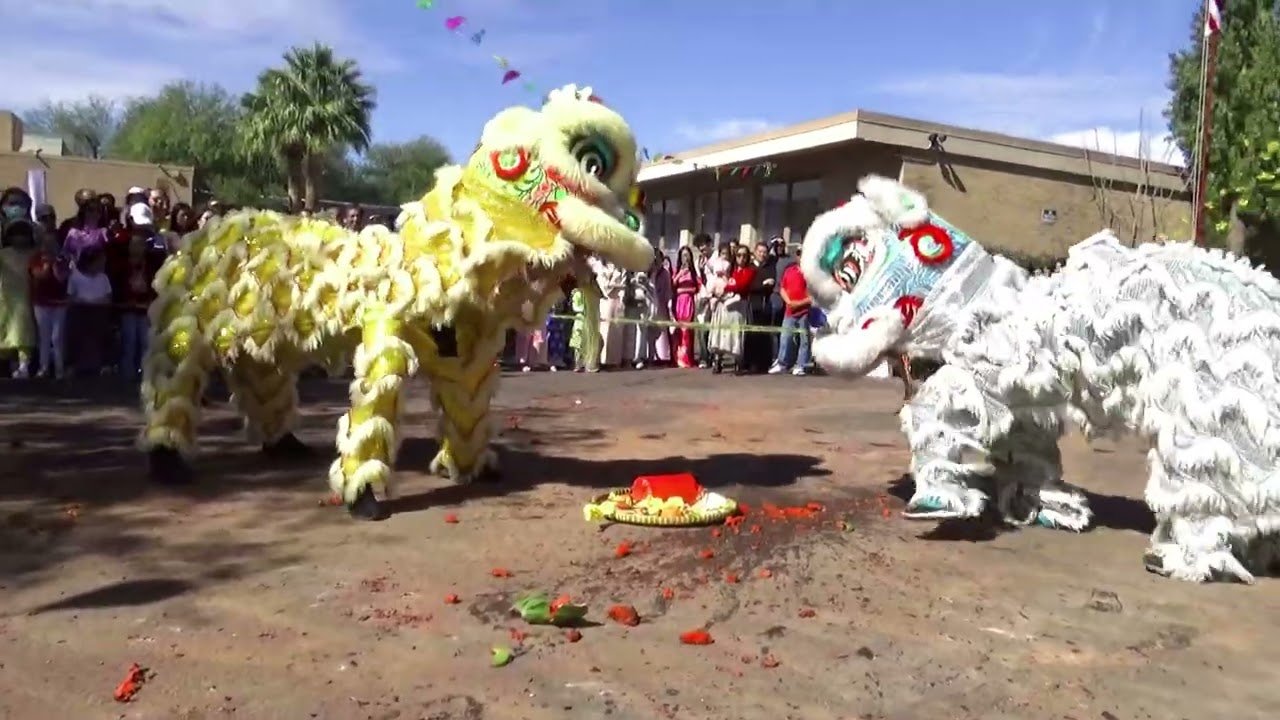 tet lion dance performance '26 (pink lion cam) FULL TEAM VERSION ON THE Brothersliondance YT account