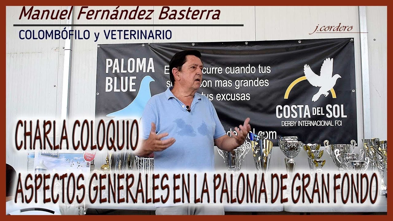 PALOMAS MENSAJERAS.- (Charla-Coloquio  M. BASTERRA). LA PALOMA DE GRAN FONDO