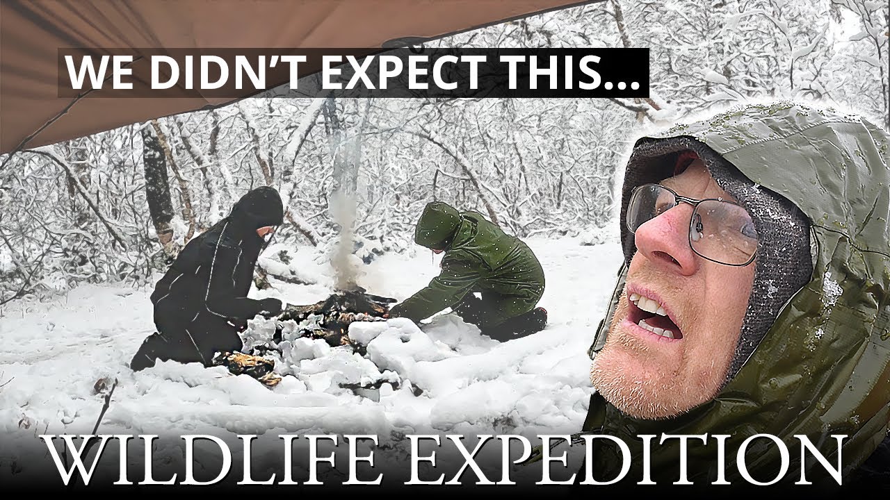 Surviving a Fall Snowstorm in Sarek National Park | Wildlife Expedition Turned Adventure