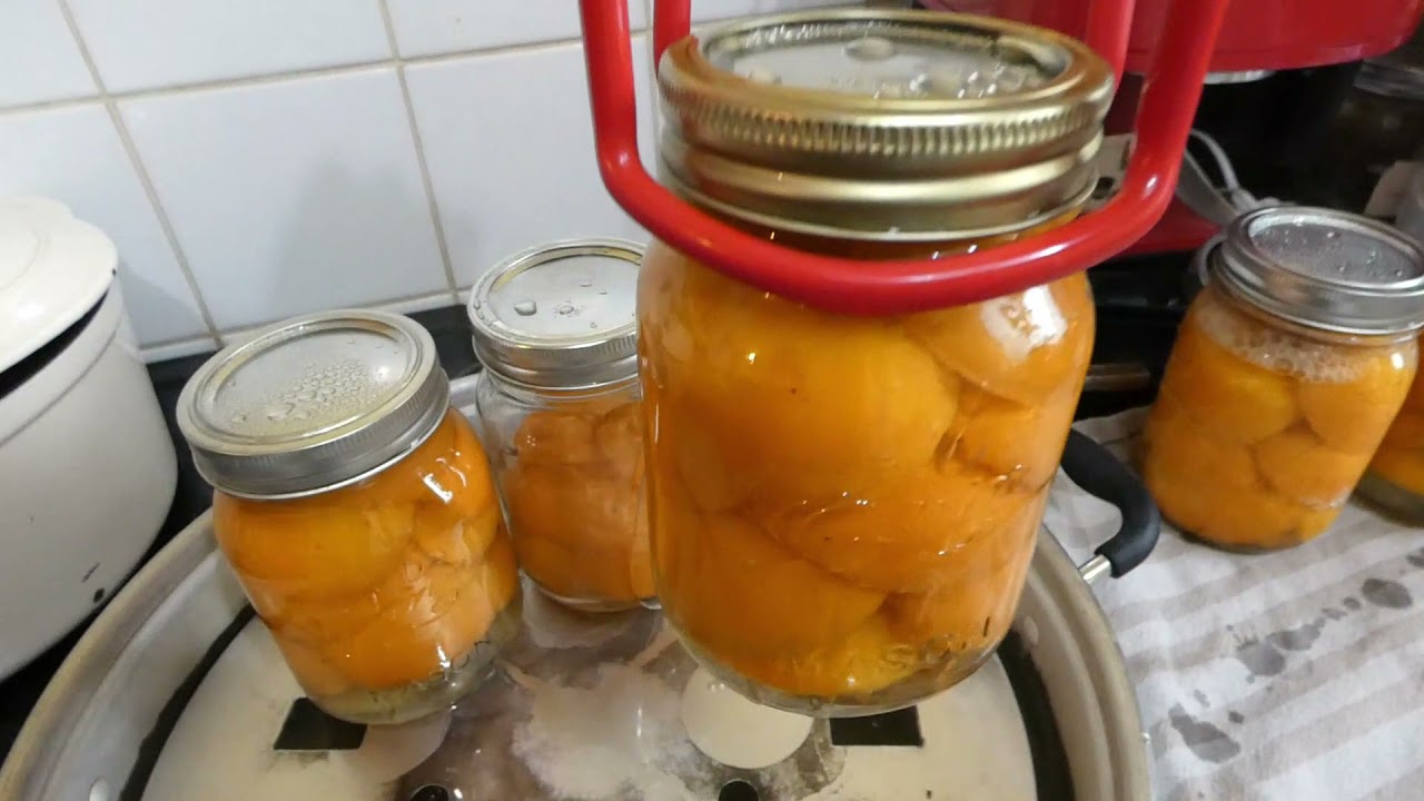 canning apricots