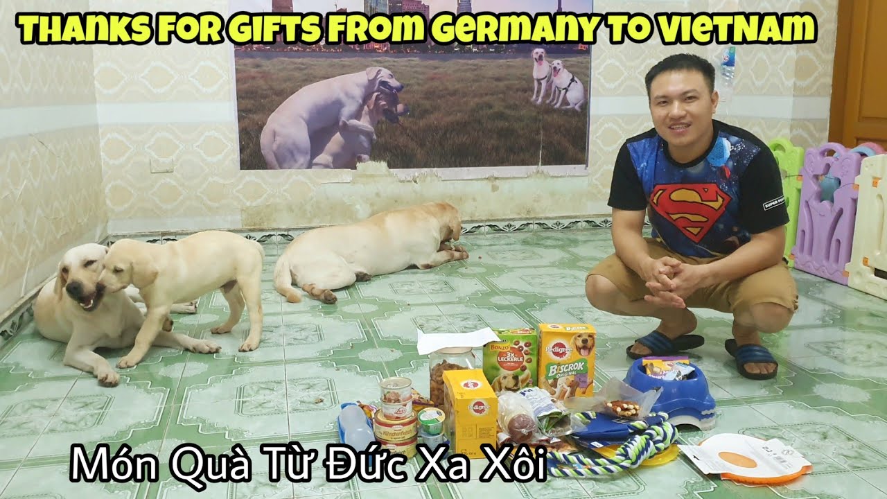 Gifts From Germany To Vietnam | Fan từ Đức gửi rất nhiều quà về Việt Nam cho Chút Chít