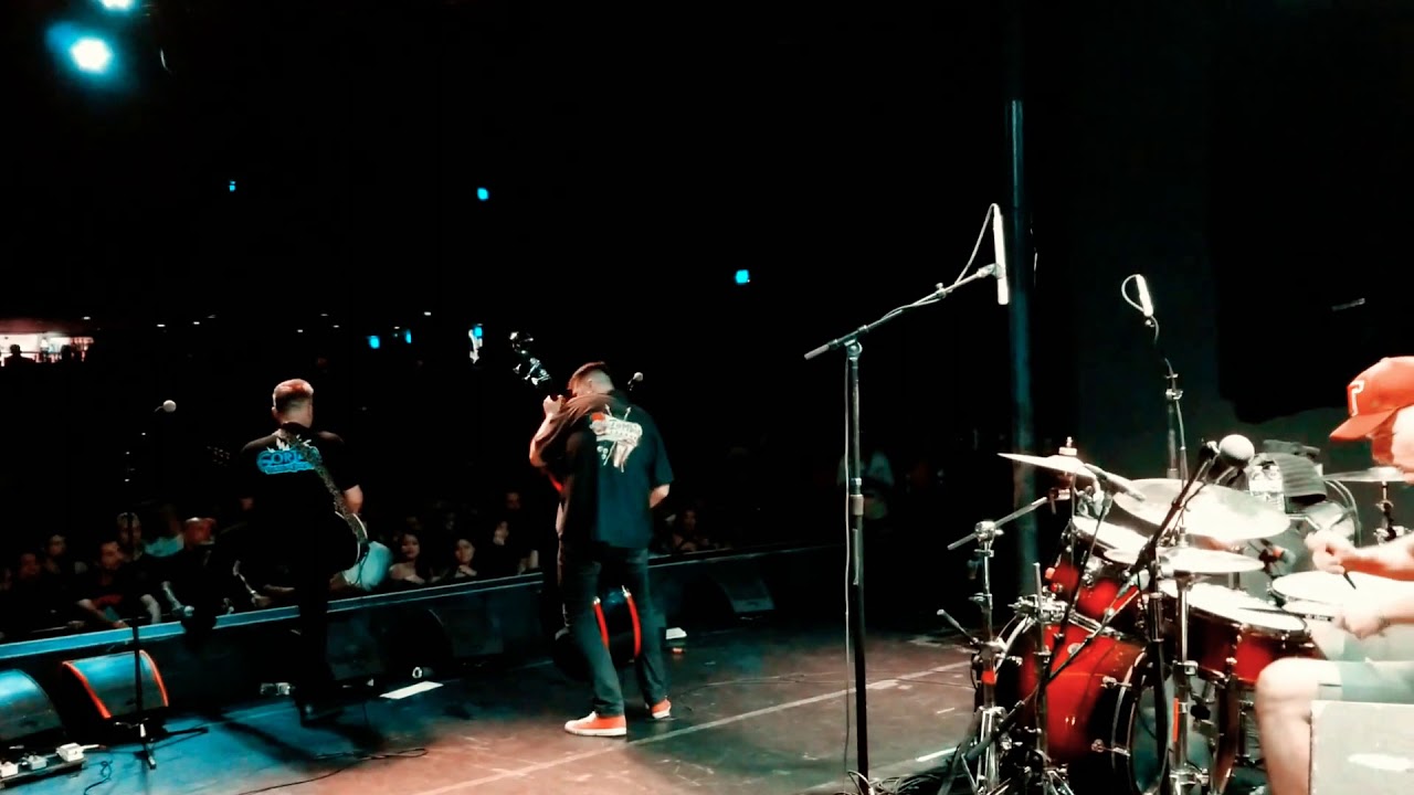 Gorilla - Coma (Live)