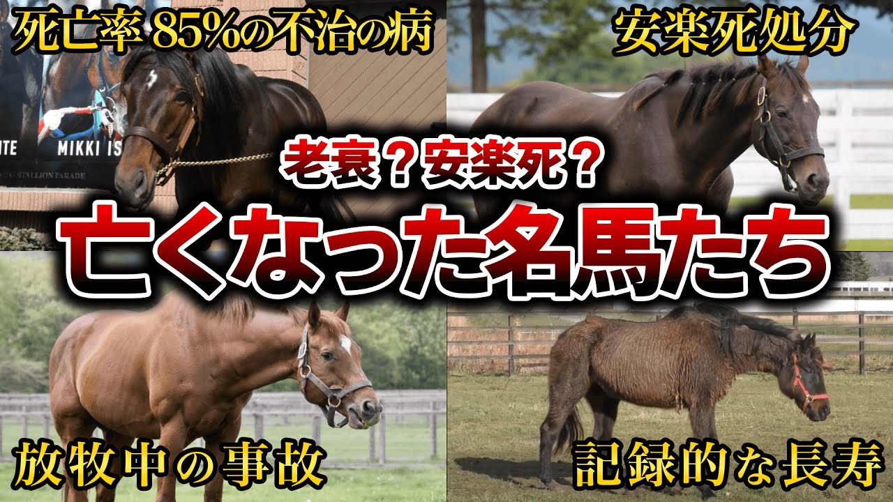 競馬【追悼】2021年に亡くなった名馬たち【ドゥラメンテ】【クロフネ】【シーザリオ】