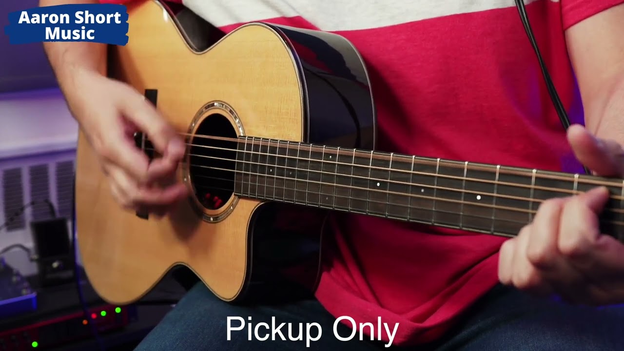 Acoustic Guitar Pickups #22 - Brad Clark SuperNatural Pickup (Digital Version)