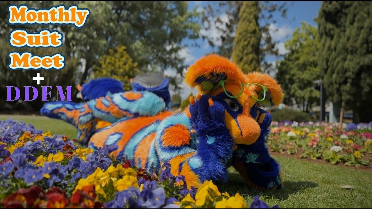 Monthly Suit Meet / Darling Downs Fur meet - Toowoomba Carnival of Flowers 2024