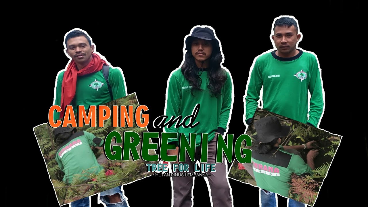 Camping And Greening Tree For Life Hutan Pinus Lembanna