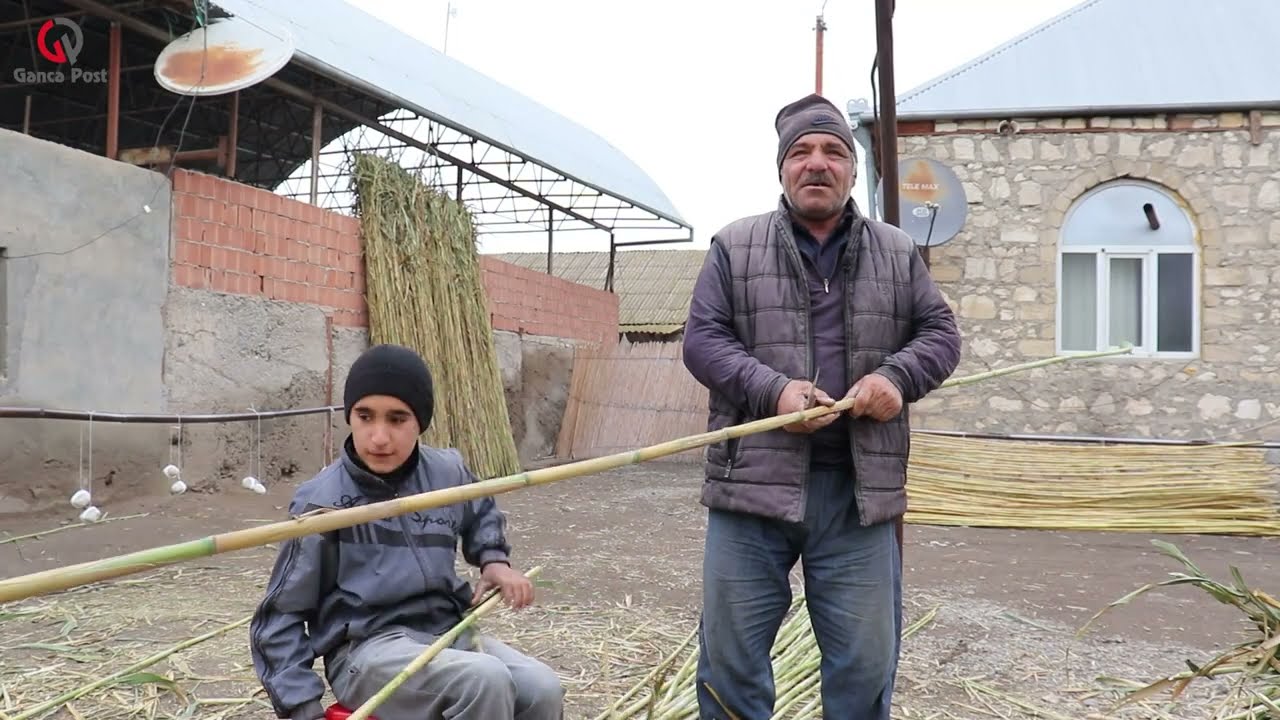 Çörəyi “qarğı”-dan çıxan #Quşqara kənd sakinləri