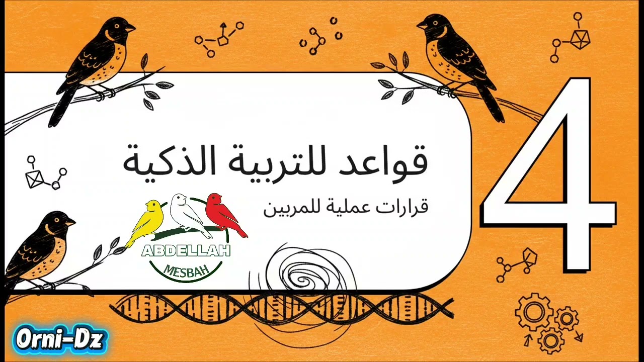 سر بقع الميلانين عند كناري الليبوكروم The secret of melanin spots in lipochrome canaries 