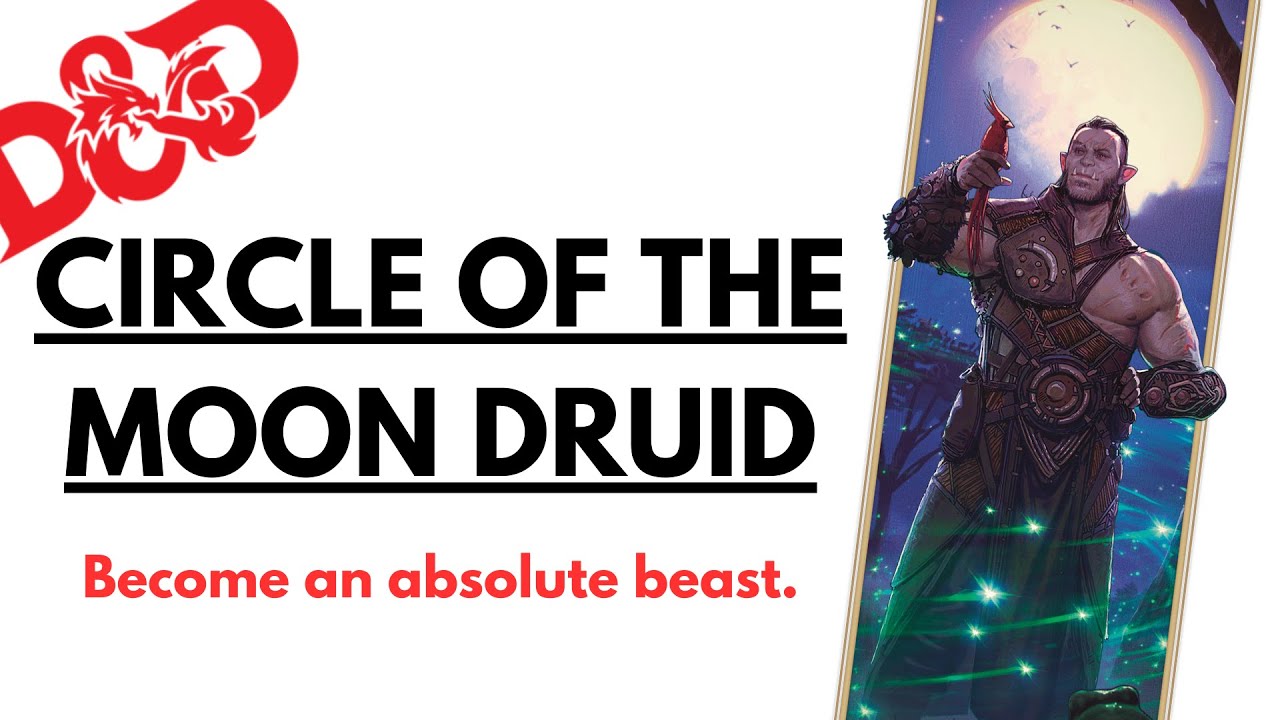 The Moon Druid Is Wild... And It's All Thanks To The New Monster Manual (D&D 5e/5.5e)