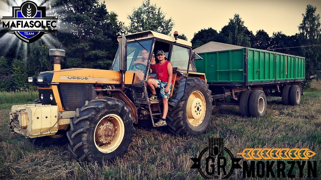 Transport zboża z pola na silosy - Ursus 1614 🚜 WakacyjnyVLOG #6 z MafiaSolecTeam :D