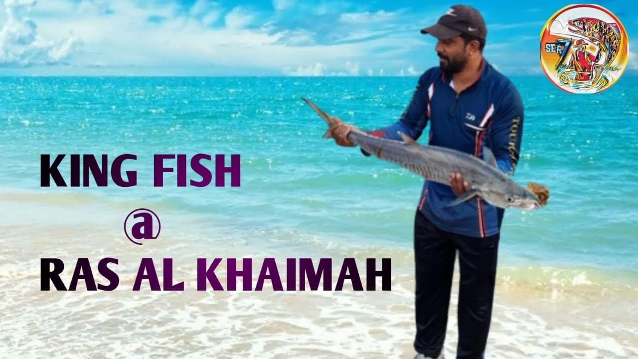 King Fish @Ras Al Khaimah#Seaseven Aqua Fish
