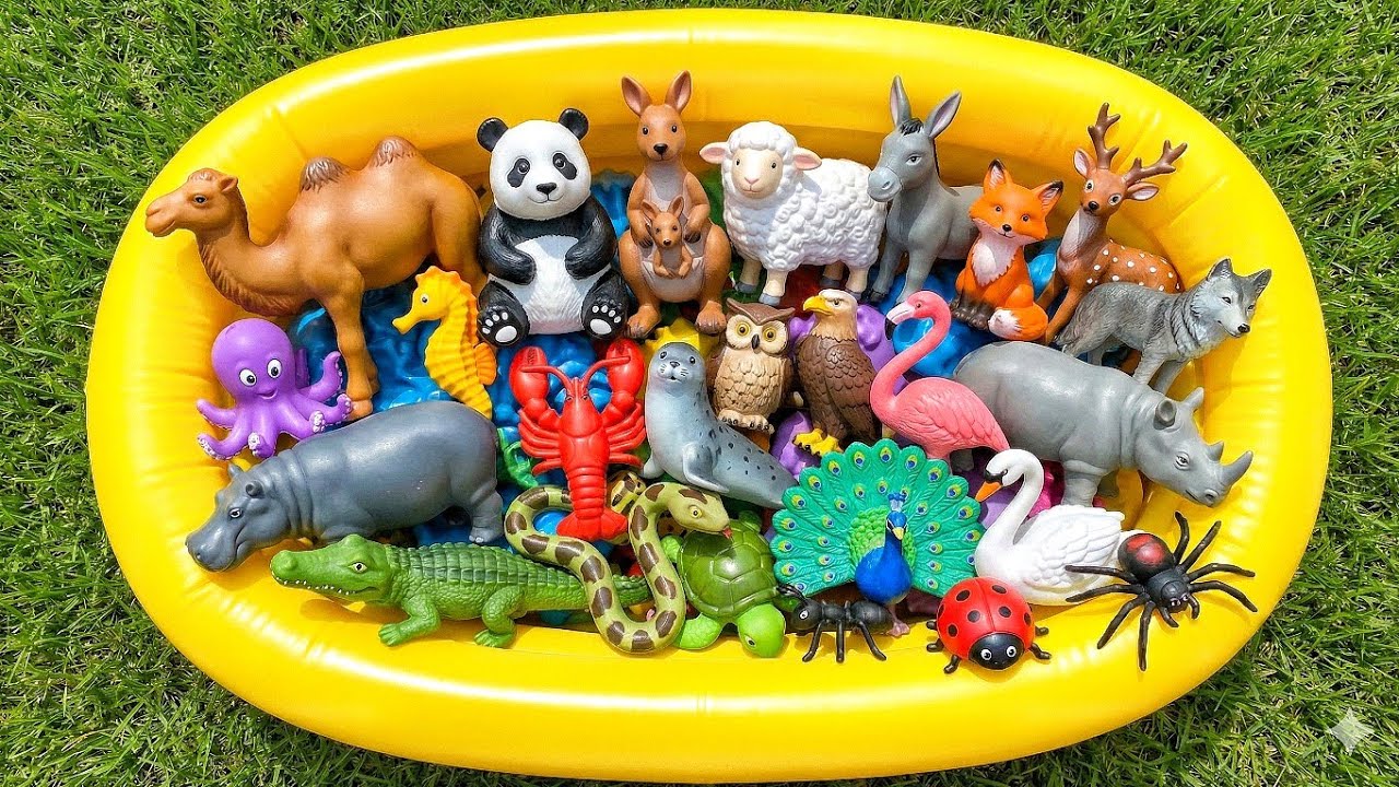 Kids Learn | Animals Name for Babies Toddlers | Animals Facts for Kids | Crocodile,Turtle,Octopus