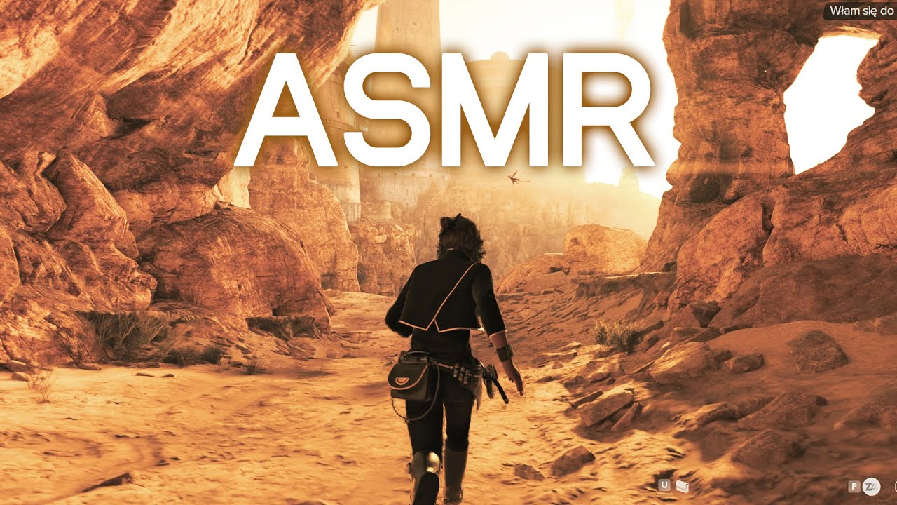 ASMR - The Most Overhated Game