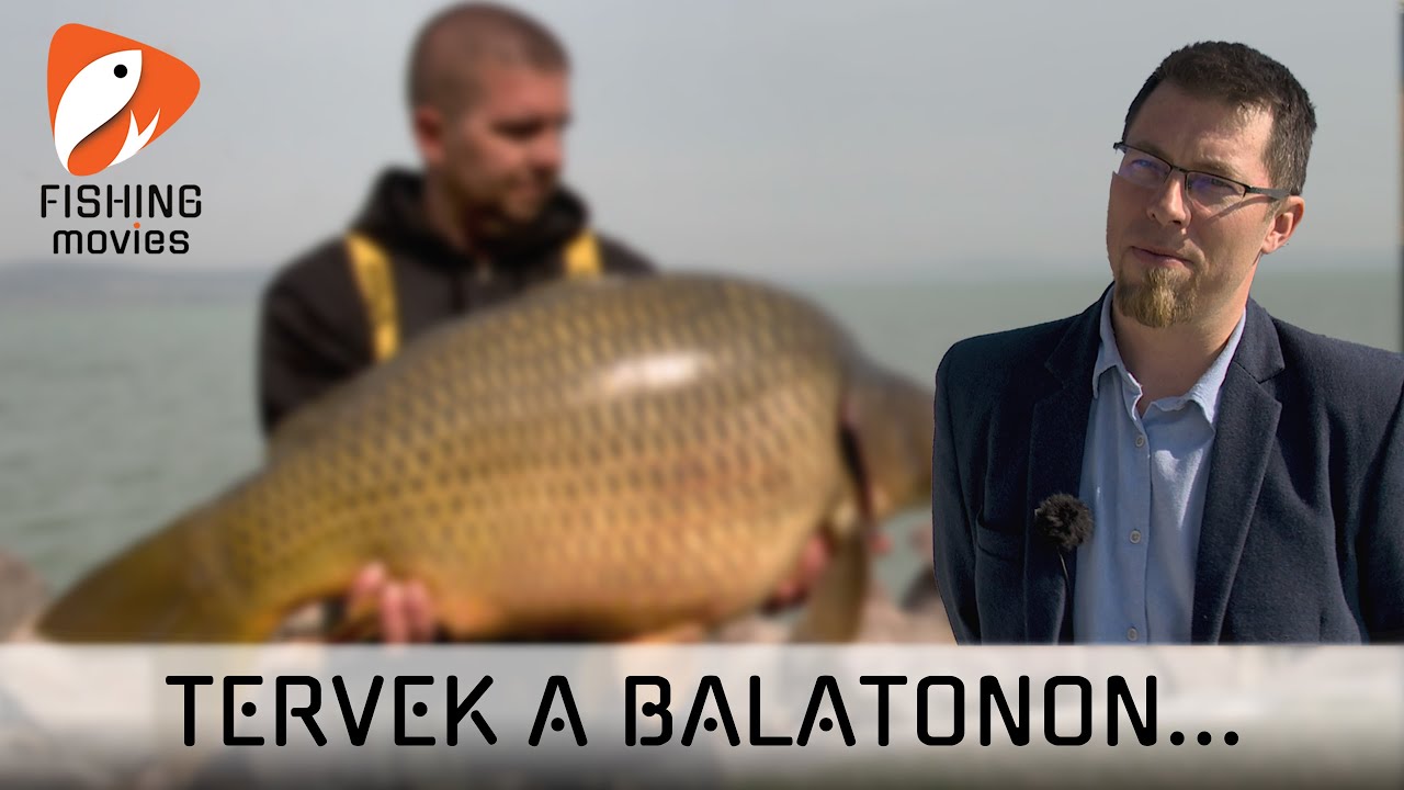 2024-es tervek a Balatonon