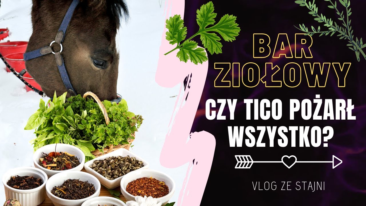 BAR ZIOŁOWY - CZY TICO POŻARŁ WSZYSTKO? 🌿  | vlog ze stajni