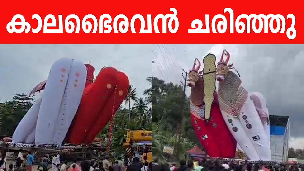 കാലഭൈരവൻ ചരിഞ്ഞു ദുഃഖത്തിലായി ഓണാട്ടുകര | Oachira Kalabhairavan | Ochira Kalakettu 2024