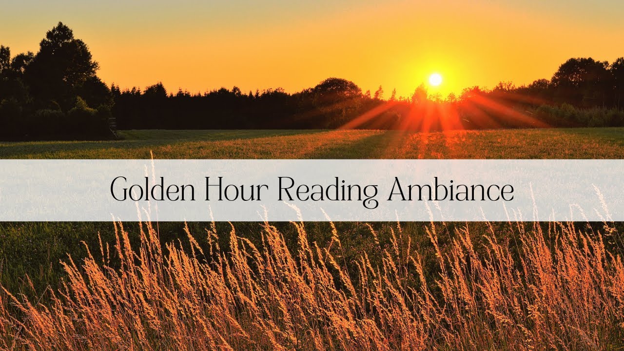 Golden Hour Reading Ambiance - beautiful golden hour visuals with nature audio