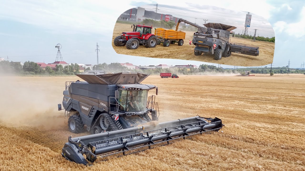 Nový Fendt IDEAL 9T |První Sklizeň Ozimého ječmene 2025 |Žně 2025