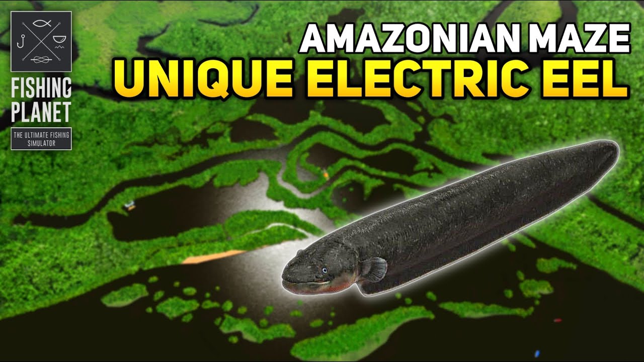 Unique Electric Eel Amazonian Maze - Fishing Planet