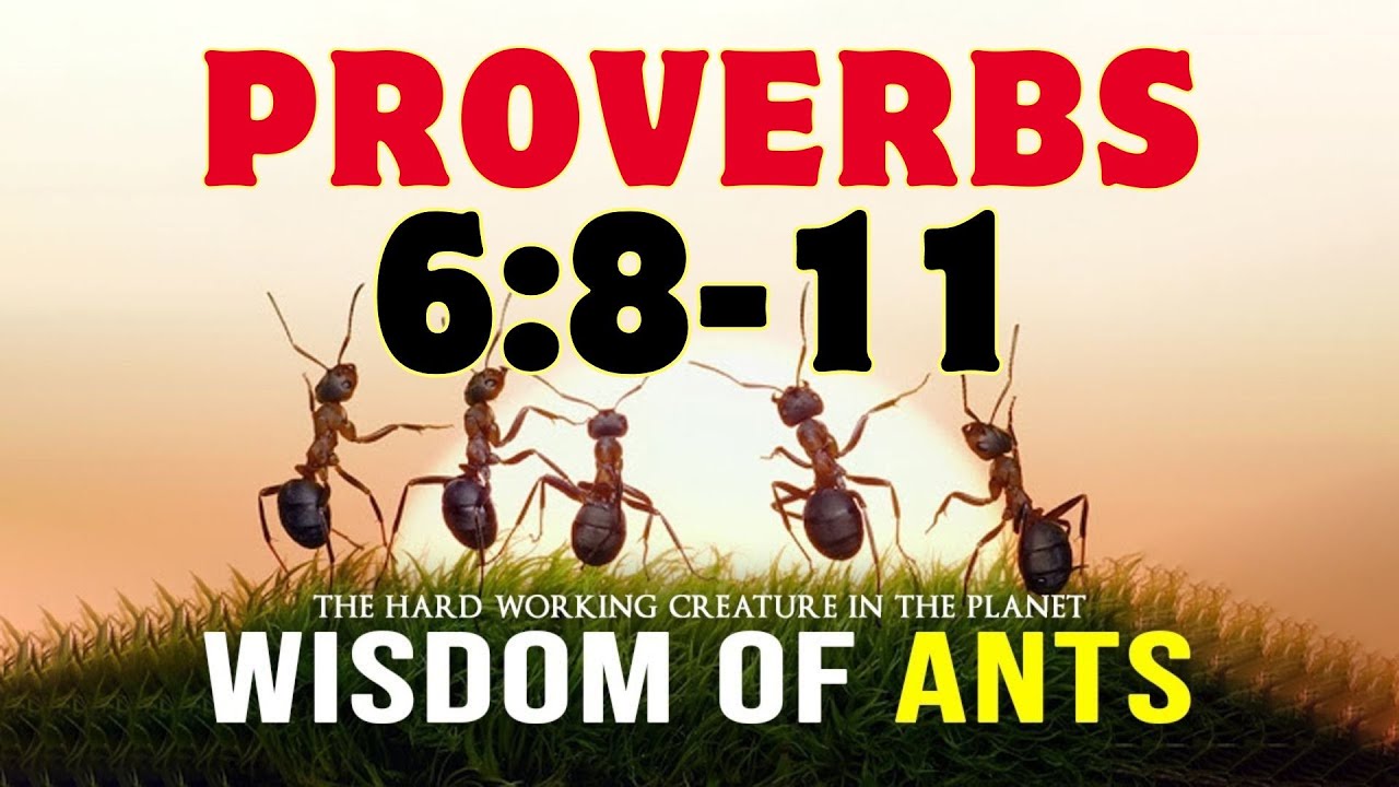 The Ant's Secret to Success: Proverbs 6:8-11 Inspirational Message | DailyInspirationPH