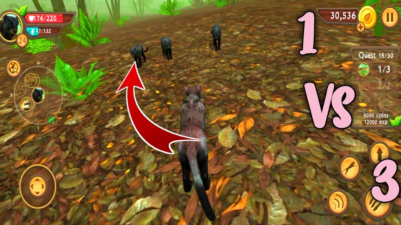 The Wild Night Panther Fight against Other Panther In Wild Panther Sim 3D Android Game