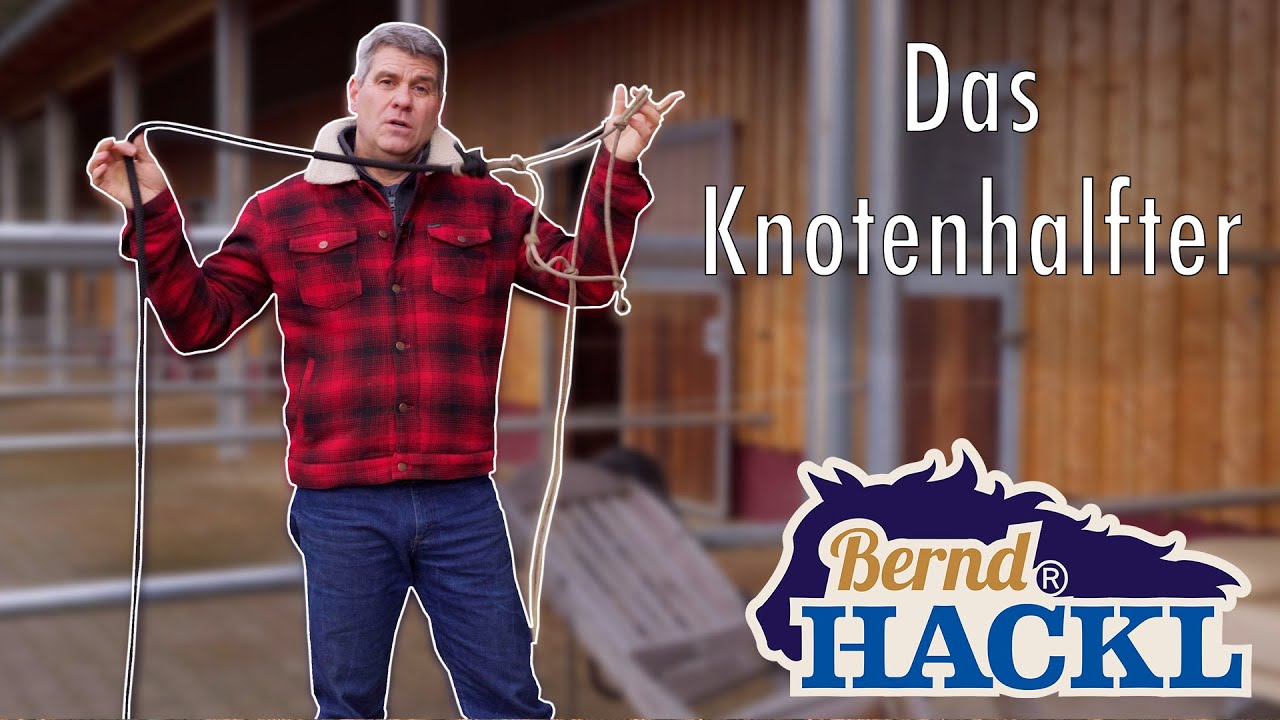 Das Knotenhalfter I Bernd Hackl erklärt! 🐴