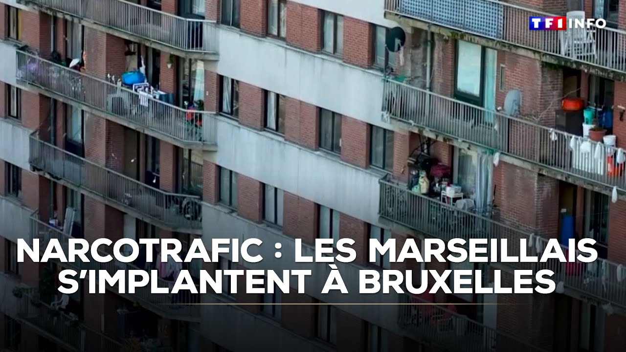 Narcotrafic : les Marseillais s'implantent à Bruxelles ｜TF1 INFO