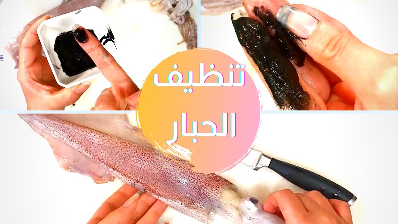 How to clean fresh Squid تنظيف الحبار و الكلماري و إستخراج الحبر