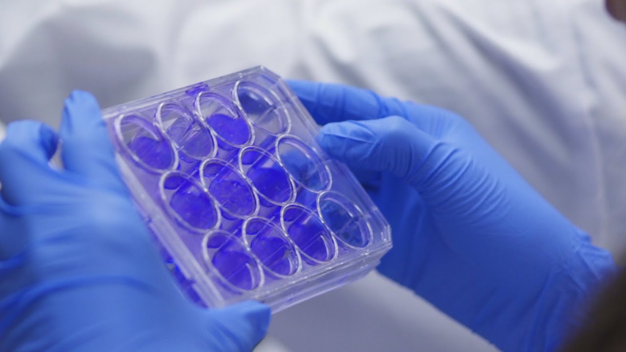 Coronavirus has mutated and may be more infectious